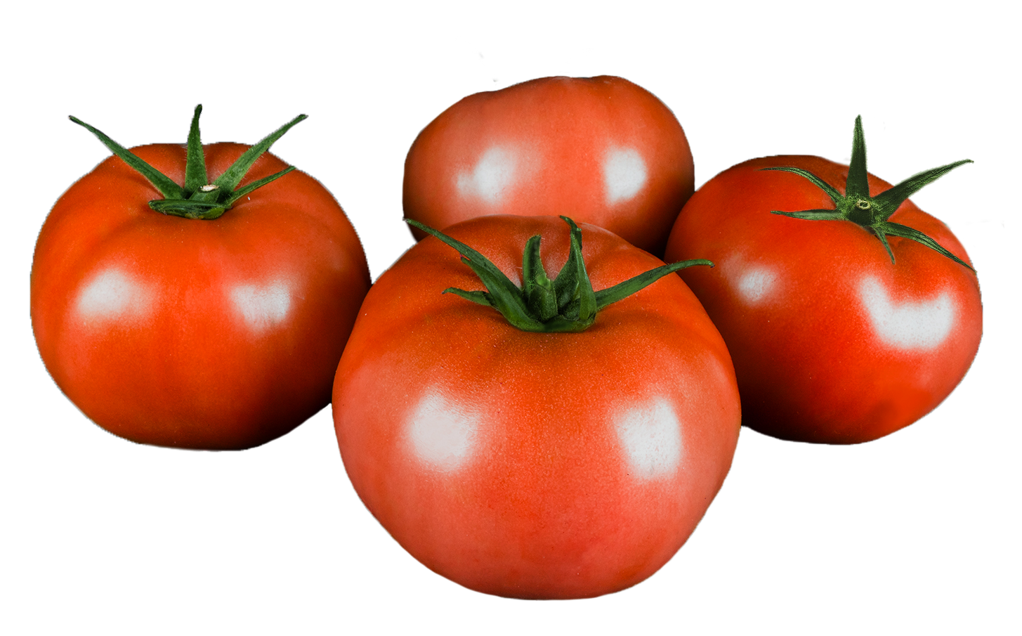 Photo of Beefsteak Tomatoes