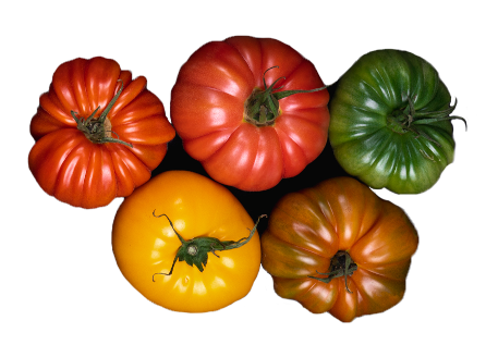 Photo of Heirloom Tomatoes